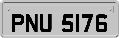 PNU5176