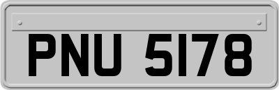 PNU5178