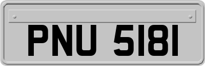 PNU5181