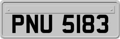 PNU5183