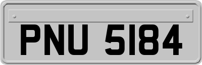 PNU5184
