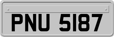 PNU5187