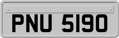 PNU5190