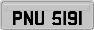 PNU5191