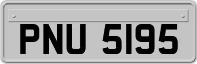 PNU5195