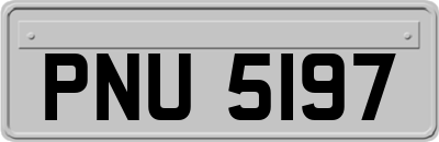 PNU5197