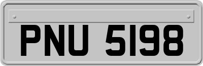 PNU5198