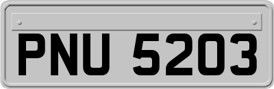 PNU5203