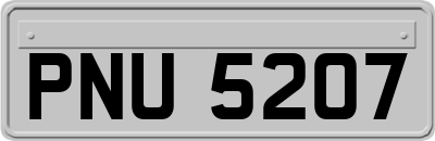 PNU5207