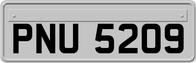 PNU5209