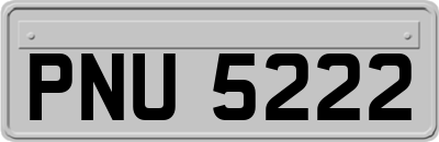 PNU5222