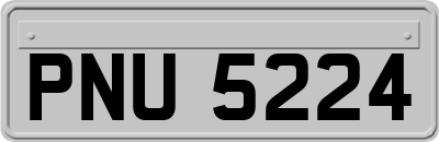 PNU5224
