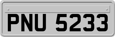 PNU5233