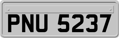 PNU5237