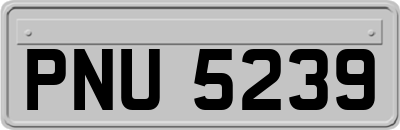 PNU5239