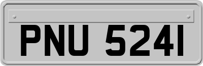 PNU5241