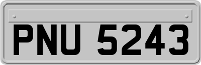 PNU5243