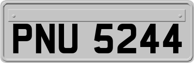 PNU5244