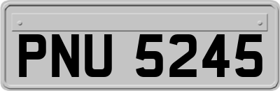 PNU5245
