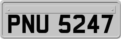 PNU5247