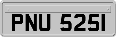 PNU5251