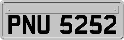 PNU5252