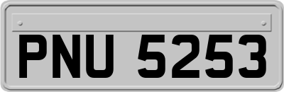 PNU5253