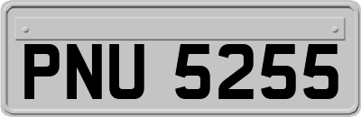 PNU5255