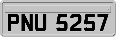 PNU5257
