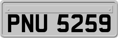 PNU5259
