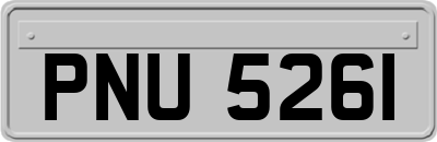 PNU5261