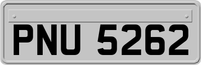PNU5262