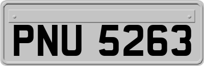 PNU5263