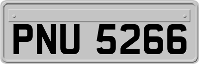PNU5266