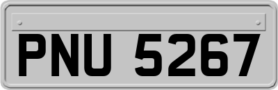 PNU5267