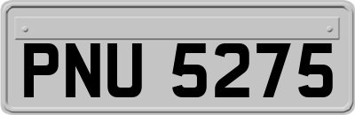 PNU5275