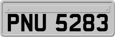 PNU5283