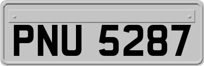 PNU5287