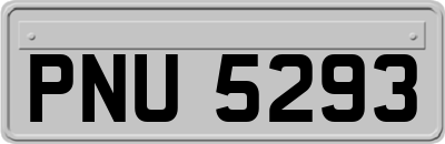 PNU5293