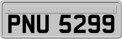 PNU5299