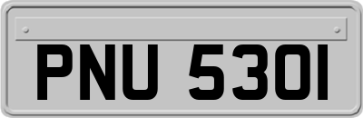 PNU5301