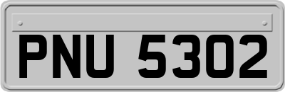 PNU5302