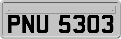 PNU5303