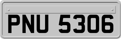 PNU5306