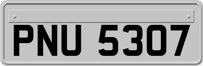 PNU5307