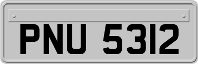 PNU5312