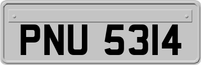 PNU5314