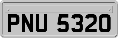 PNU5320