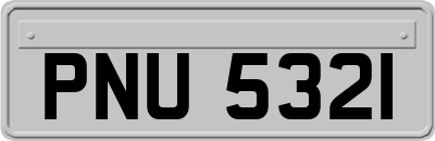 PNU5321