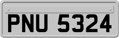 PNU5324